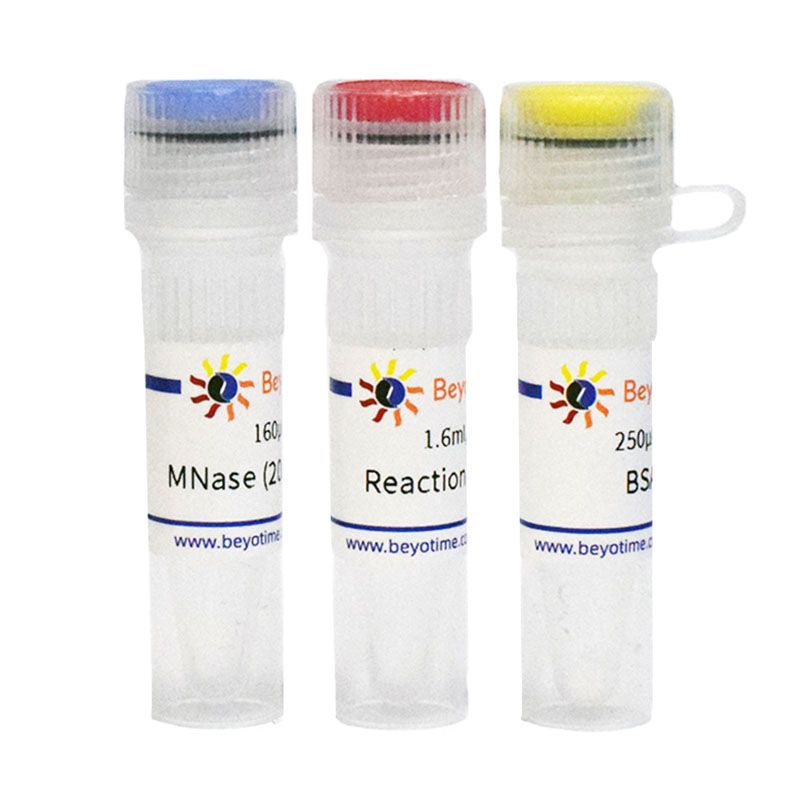 微球菌核酸酶(Micrococcal Nuclease, MNase)