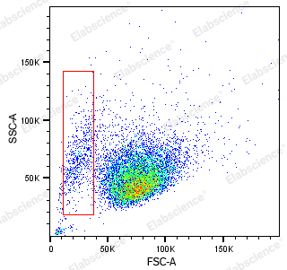 从入门到精通：Annexin V凋亡实验超详细攻略