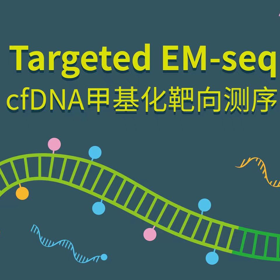  cfDNA甲基化靶向测序EM-seq