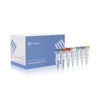 全能型DNA建库试剂盒（ND610/NDB610）