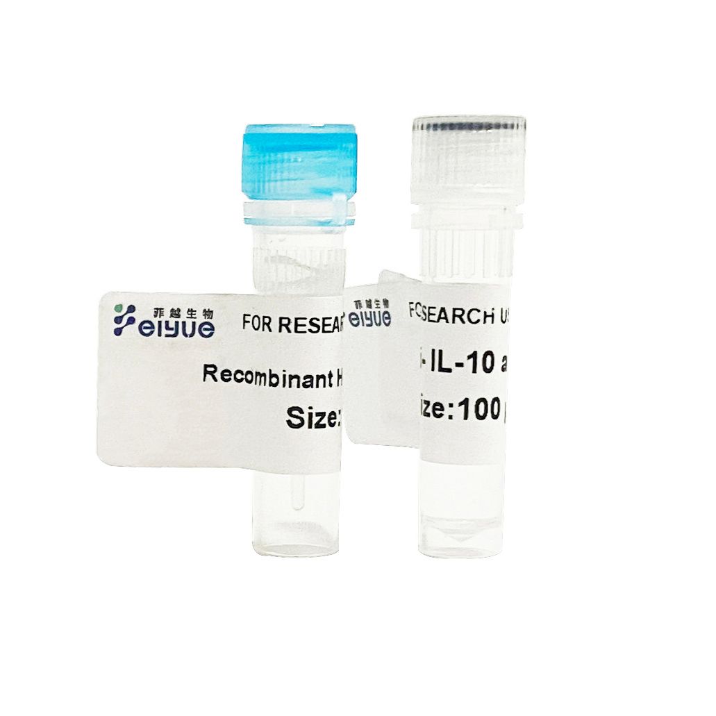 Recombinant Human IL-12RB1 (C-Fc)
