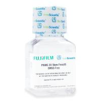 PRIME-XV 无DMSO干细胞冻存液