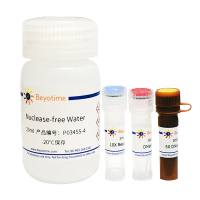 RNase活性荧光检测试剂盒