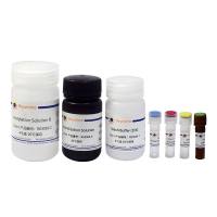 Fluorescence in Situ Hybridization Kit for RNA