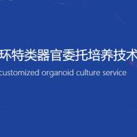 类器官培养/模型构建/类器官科研/委托技术服务/cro服务外包