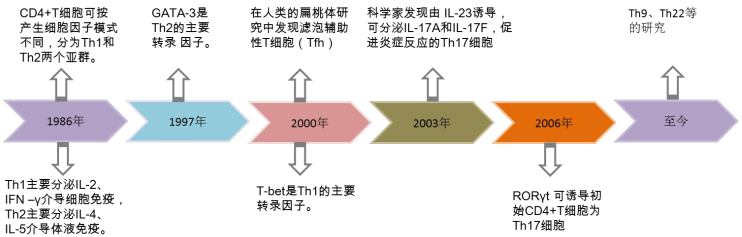 磁珠分选系列—IPHASE CD4+ T淋巴细胞分选试剂盒