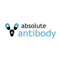 Absolute Antibody Ltd生物仿制药抗体 重组蛋白