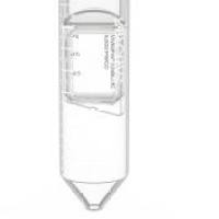 赛默飞血液直接PCR试剂盒,Phusion Blood Direct PCR Master Mix