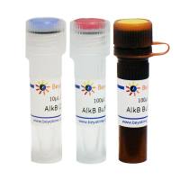 AlkB (RNA/DNA去甲基化酶, Nuclease-free)