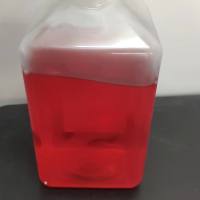 HUVEC 细胞专用培养基/镜像绮点（Cellverse）