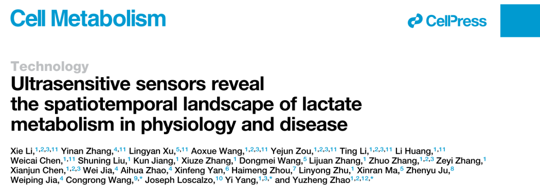 Cell Metabolism：代谢研究利器！赵玉政/杨弋/王从荣团队开发出高性能基因编码的乳酸探针