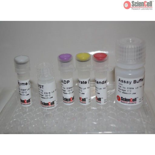 8398 ScienCell 葡萄糖6磷酸酶检测试剂盒 G6P ，Glucose-6-phosphate Assay