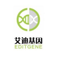 DNA恒温扩增试剂盒（液体荧光型）