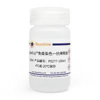 SignalUp™免疫染色一抗稀释液