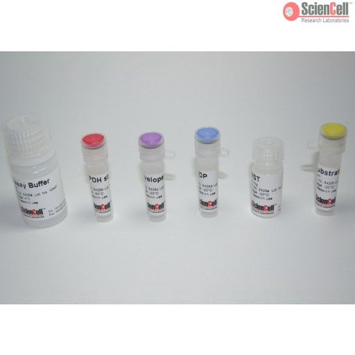 8428 ScienCell 葡糖6磷酸脱氢酶检测试剂盒 G6PDH，Glucose-6-phosphate Dehydrogenase Assay