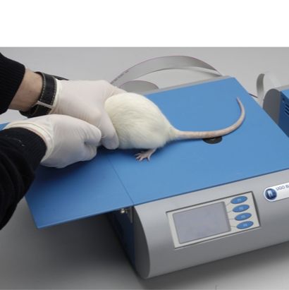 小鼠甩尾仪，小鼠尾部疼痛测量仪，小鼠光热刺痛仪