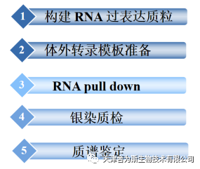 技术资料图片3
