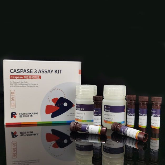 Caspase 3活性检测试剂盒