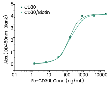癌症细胞免疫疗法“头部靶点”有哪些呢？