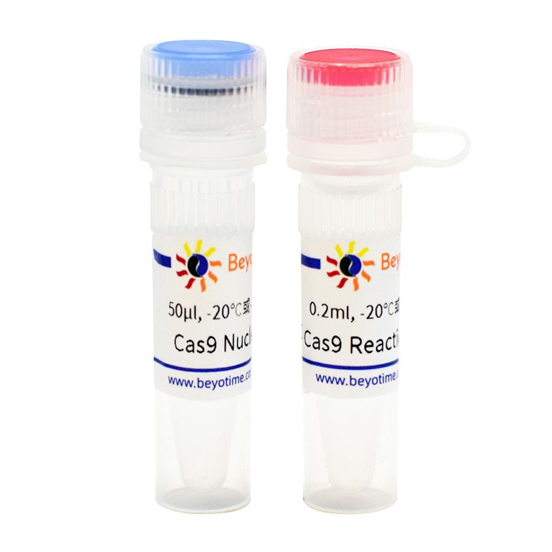 Cas9 Nuclease (SpCas9)