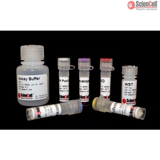 8658 ScienCell **酸脱氢酶检测试剂盒 PDH，Pyruvate dehydrogenase Assay