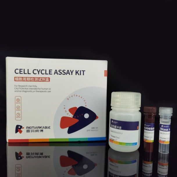 细胞周期检测试剂盒
