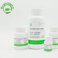 植物源重组人转铁蛋白