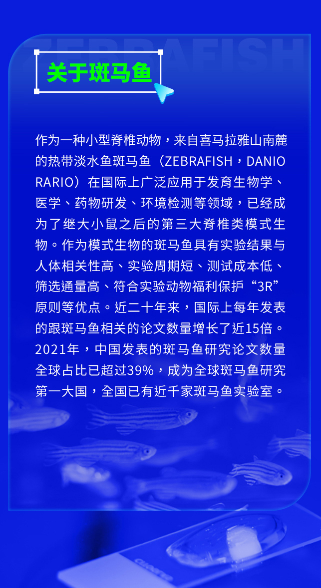 环特斑马鱼共享实验室:北京广州双城同开,等您来约!