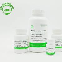 重组人转铁蛋白Recombinant Human Transferrin