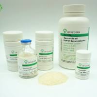 蛋白稳定剂—重组HSA