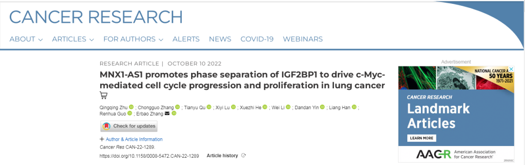 Cancer Research丨lncRNA MNX1-AS1通过促进IGF2BP1的相分离驱动肺癌细胞的肿瘤发生