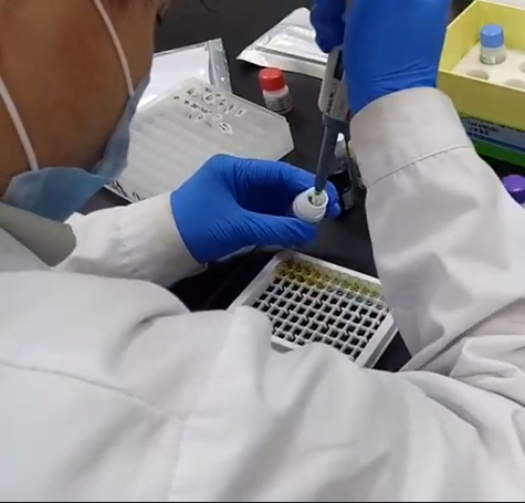 推荐：上海机纯实业ELISA试剂盒提供代测服务