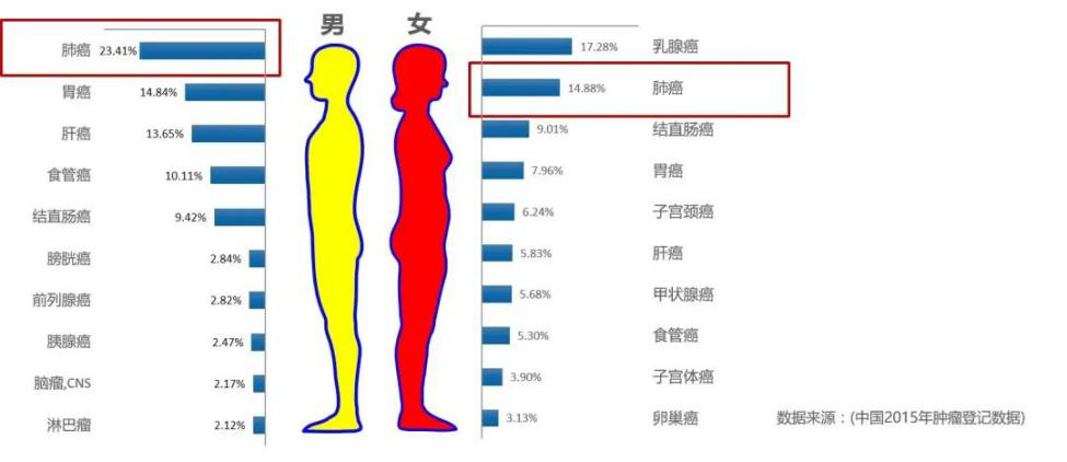 肿瘤临床前研究重要工具—集萃药康自发肺癌动物模型