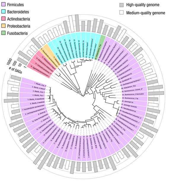 Science | 微生物组单细胞测序新技术 Microbe-seq