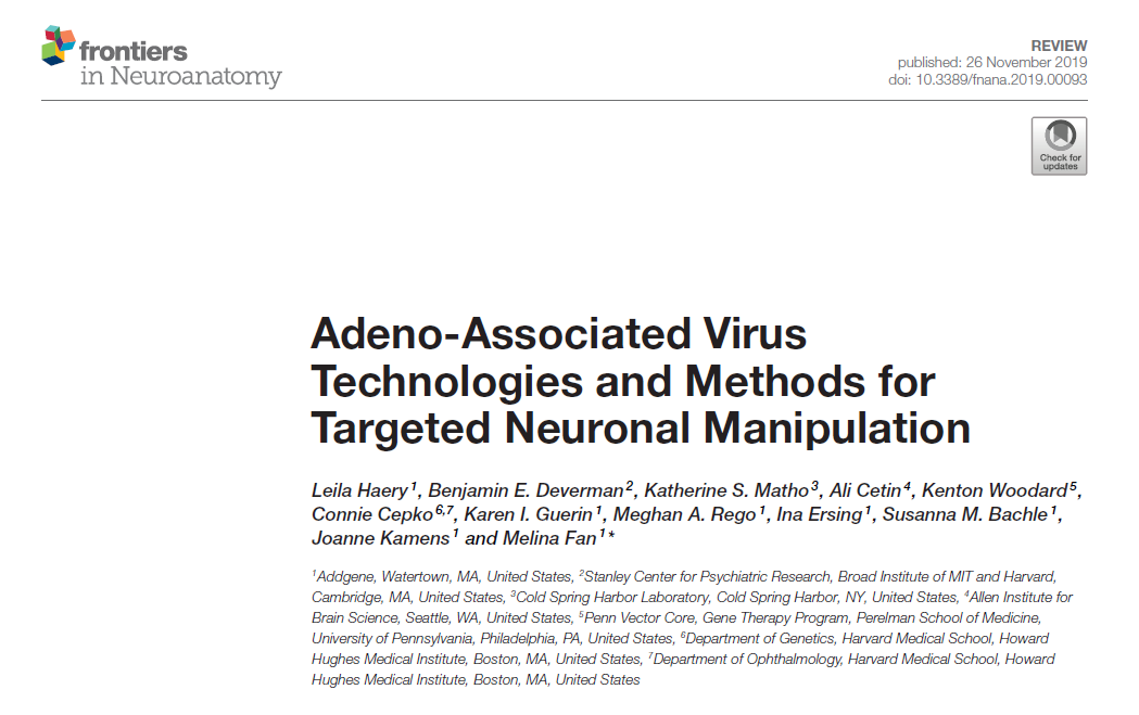 【文献解读】综述系列 ：腺相关病毒在靶向神经系统操控中的应用