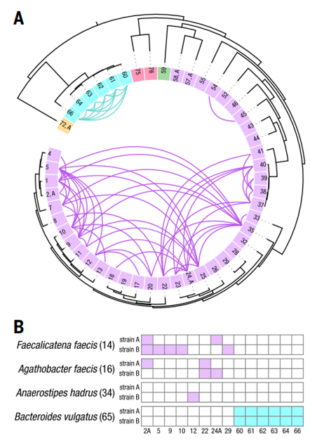 Science | 微生物组单细胞测序新技术 Microbe-seq