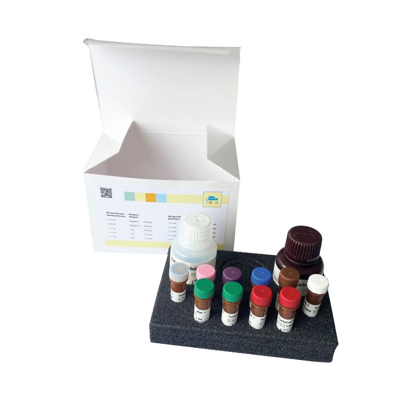 MutaPLATE®MTHFR（TM）实时PCR试剂盒