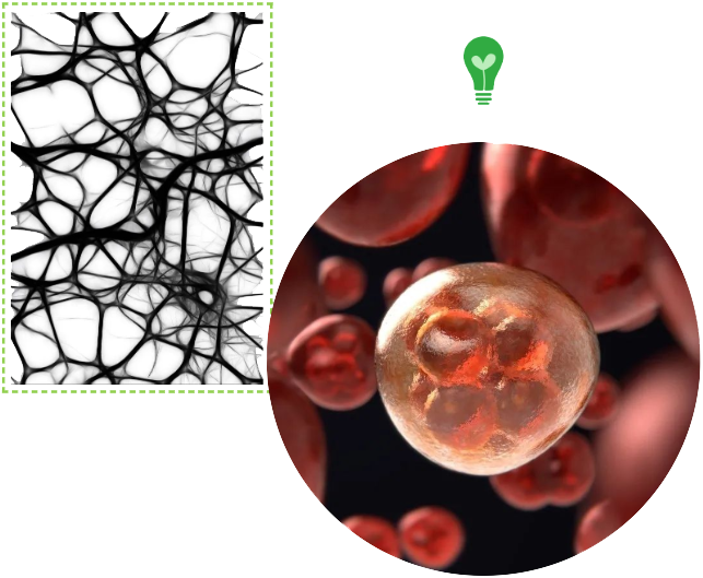 1-丁醇：中药领域的优秀炼金师