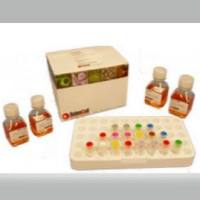 ScienCell 0533 抗霉菌溶液ABAMS，Antibiotic / Antimycotic Solution