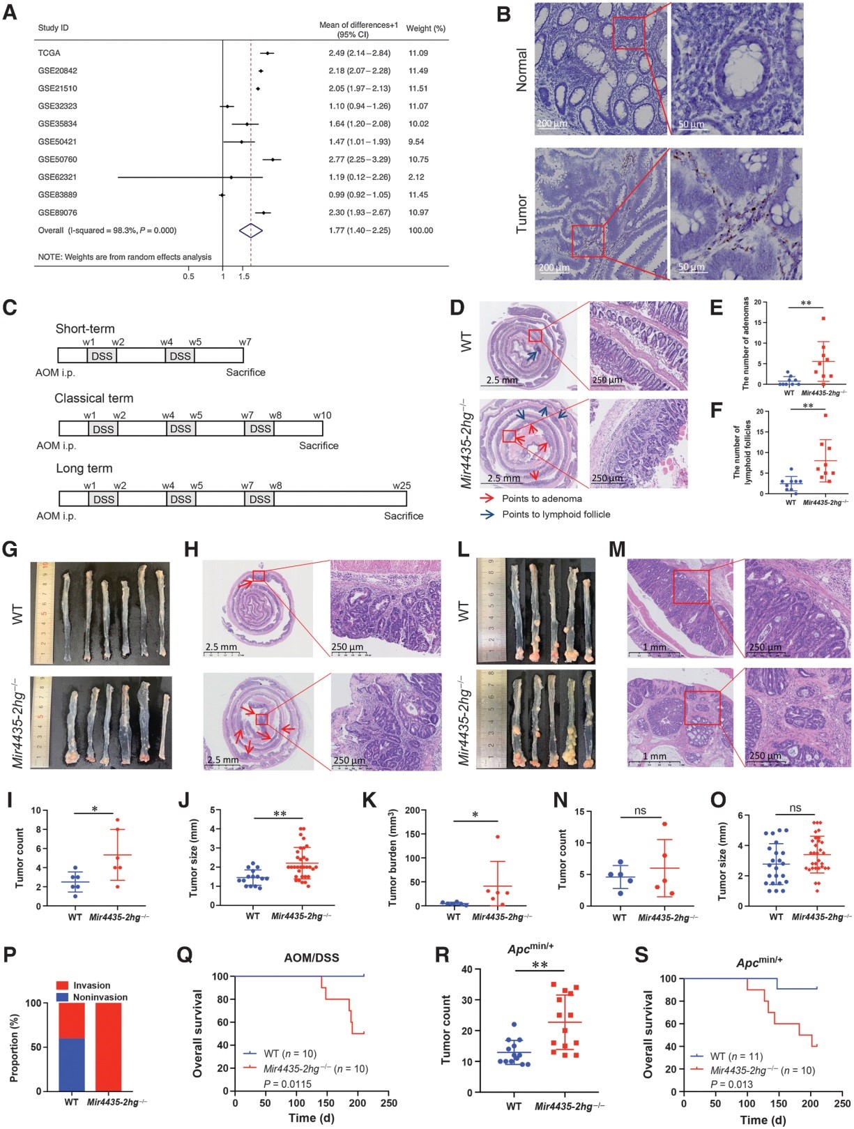 长链非编码 RNA MIR4435-2HG通过重编程中性粒细胞抑制结直肠癌的发生和进展 - 企业动态 - 丁香通