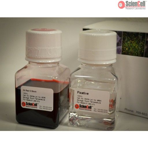 ScienCell0843油红O染色试剂盒 OEed，Oil Red O Staining Kit