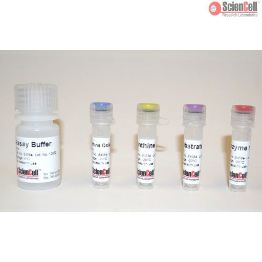 ScienCell8458黄嘌呤氧化酶检测试剂盒 XO，Xanthine Oxidase Assay