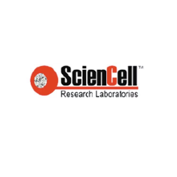 ScienCell8888比色法组蛋白去乙酰化酶活性检测试剂盒HDAC，Colorimetric Histone Deacetylase Activity Assay