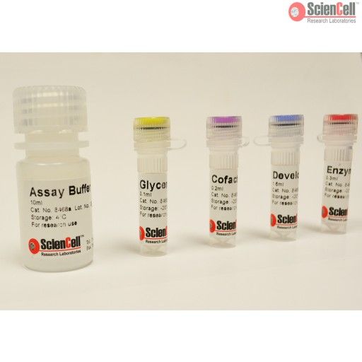 ScienCell8468甘油检测试剂盒 GLY，Glycerol Assay