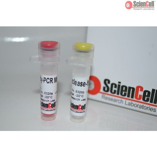 ScienCell8328人间充质干细胞软骨形成检测试剂盒 HMSC-C PCR，Human Mesenchymal Stem Cell Chondrogenesis Detection Kit