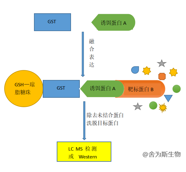 技术资料图片1
