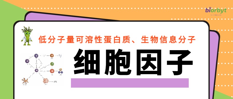 【Biorbyt产品】“细胞因子”及相关生物制品