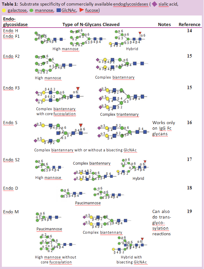 阿拉丁--用糖苷酶编辑治疗性蛋白质上的糖链