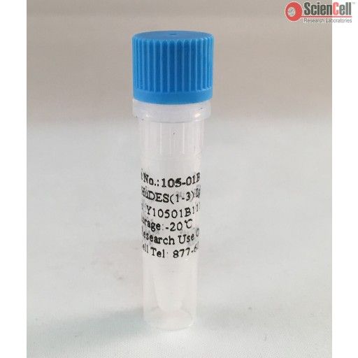 ScienCell105-01B重组人DES（1-3）胰岛素生长因子-1 rhIGF-BP3，Recombinant Human DES (1-3) IGF-1