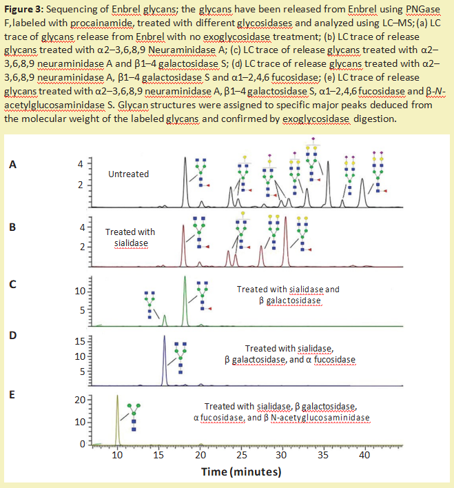 阿拉丁--用糖苷酶编辑治疗性蛋白质上的糖链